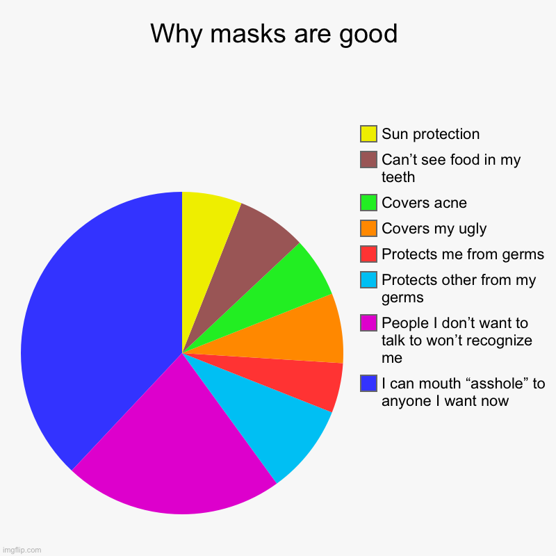 Why masks are good | Why masks are good | I can mouth “asshole” to anyone I want now, People I don’t want to talk to won’t recognize me, Protects other from my g | image tagged in charts,pie charts,memes,funny,mask,face mask | made w/ Imgflip chart maker