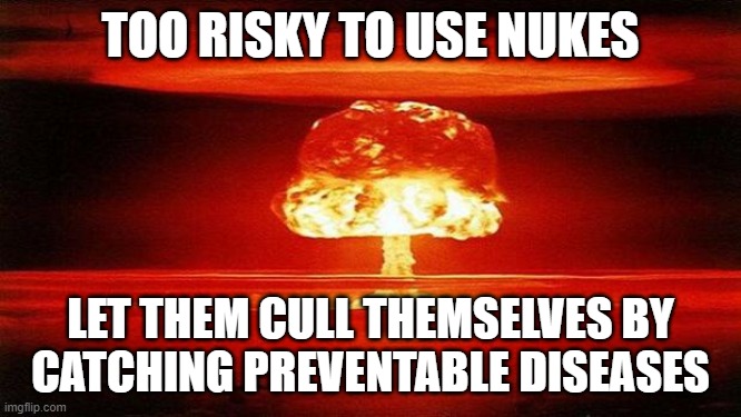 Atomic Bomb | TOO RISKY TO USE NUKES LET THEM CULL THEMSELVES BY
CATCHING PREVENTABLE DISEASES | image tagged in atomic bomb | made w/ Imgflip meme maker