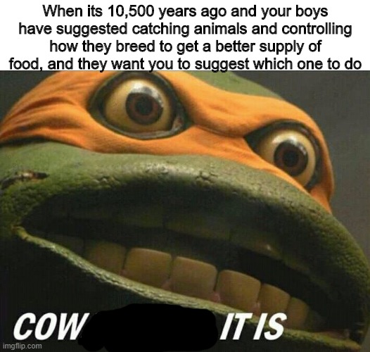 Cowabunga it is | When its 10,500 years ago and your boys have suggested catching animals and controlling how they breed to get a better supply of food, and they want you to suggest which one to do | image tagged in cowabunga it is,memes,historical meme | made w/ Imgflip meme maker