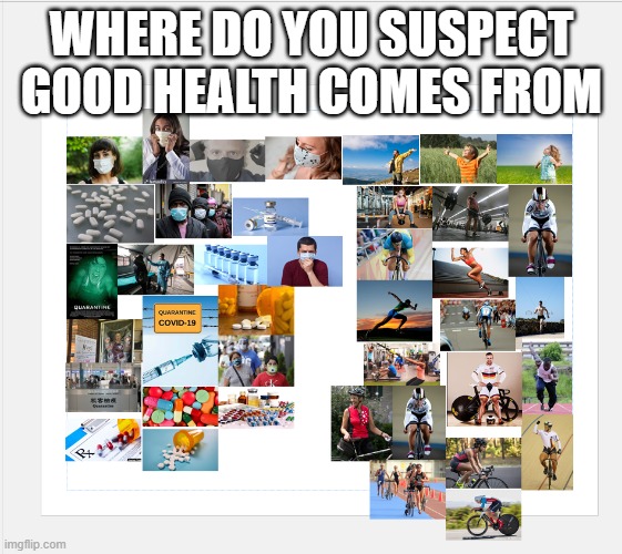 Origins of True Health | WHERE DO YOU SUSPECT GOOD HEALTH COMES FROM | image tagged in health | made w/ Imgflip meme maker