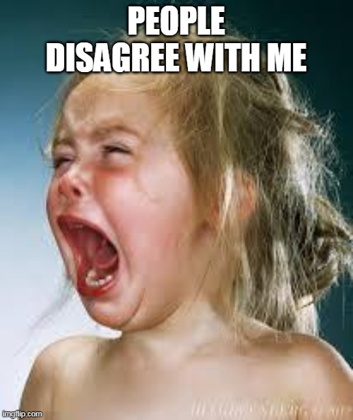 Crying Baby | PEOPLE DISAGREE WITH ME | image tagged in crying baby | made w/ Imgflip meme maker