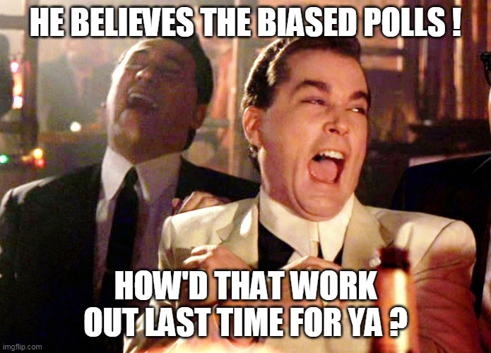 Good Fellas Hilarious Meme | HE BELIEVES THE BIASED POLLS ! HOW'D THAT WORK OUT LAST TIME FOR YA ? | image tagged in memes,good fellas hilarious | made w/ Imgflip meme maker
