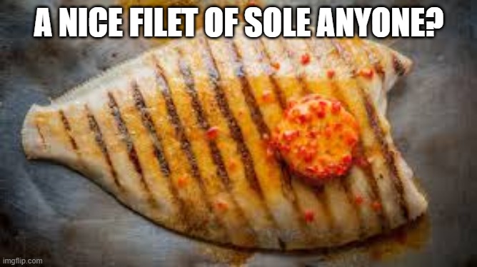 Mmm fish | A NICE FILET OF SOLE ANYONE? | image tagged in fish | made w/ Imgflip meme maker