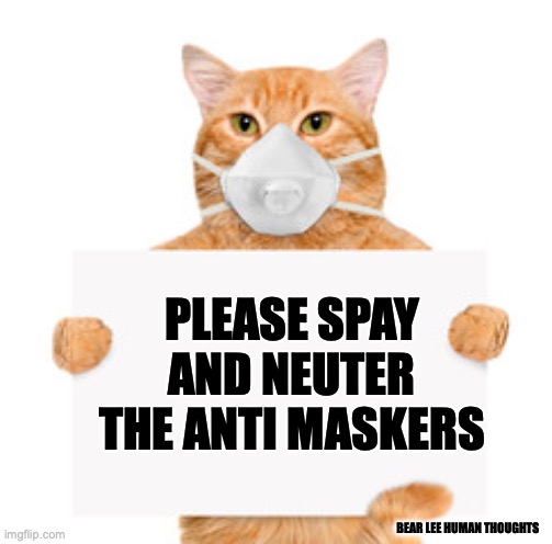 please spay and neuter | PLEASE SPAY AND NEUTER THE ANTI MASKERS; BEAR LEE HUMAN THOUGHTS | image tagged in funny cats | made w/ Imgflip meme maker
