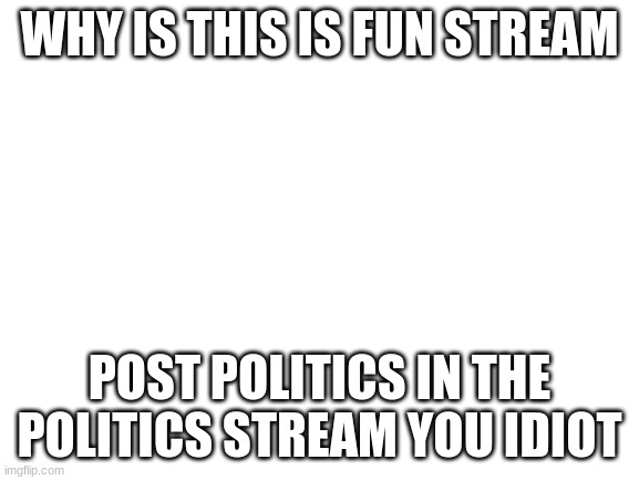 Blank White Template | WHY IS THIS IS FUN STREAM POST POLITICS IN THE POLITICS STREAM YOU IDIOT | image tagged in blank white template | made w/ Imgflip meme maker