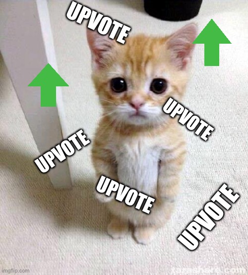 Cute Cat | UPVOTE; UPVOTE; UPVOTE; UPVOTE; UPVOTE | image tagged in memes,cute cat | made w/ Imgflip meme maker