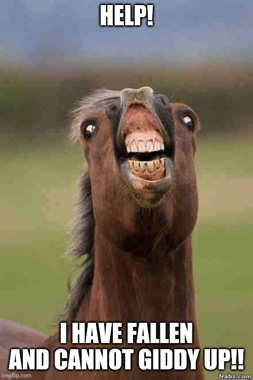 horse face | HELP! I HAVE FALLEN AND CANNOT GIDDY UP!! | image tagged in horse face | made w/ Imgflip meme maker