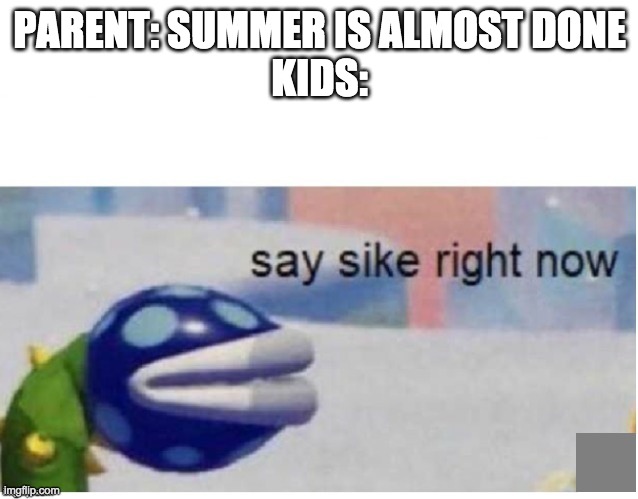 say sike right now | PARENT: SUMMER IS ALMOST DONE
KIDS: | image tagged in say sike right now | made w/ Imgflip meme maker