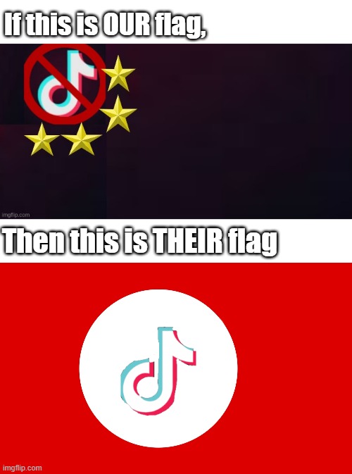 If this is OUR flag, Then this is THEIR flag | image tagged in memes,antitiktok | made w/ Imgflip meme maker