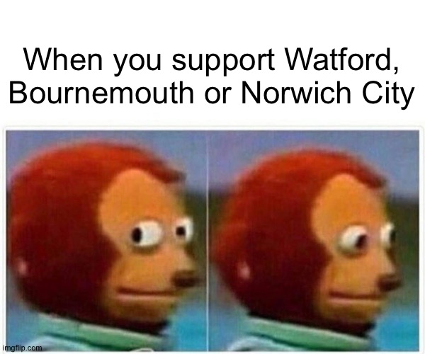 Relegated | When you support Watford, Bournemouth or Norwich City | image tagged in memes,monkey puppet | made w/ Imgflip meme maker