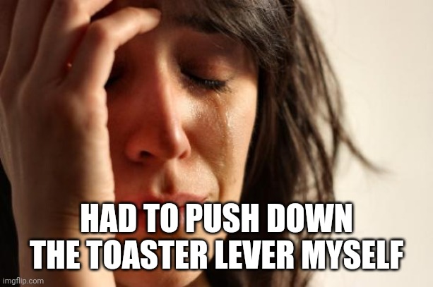 First World Problems Meme | HAD TO PUSH DOWN THE TOASTER LEVER MYSELF | image tagged in memes,first world problems | made w/ Imgflip meme maker