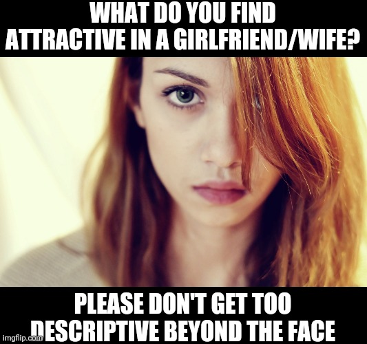 A good question | WHAT DO YOU FIND ATTRACTIVE IN A GIRLFRIEND/WIFE? PLEASE DON'T GET TOO DESCRIPTIVE BEYOND THE FACE | image tagged in pretty girl | made w/ Imgflip meme maker