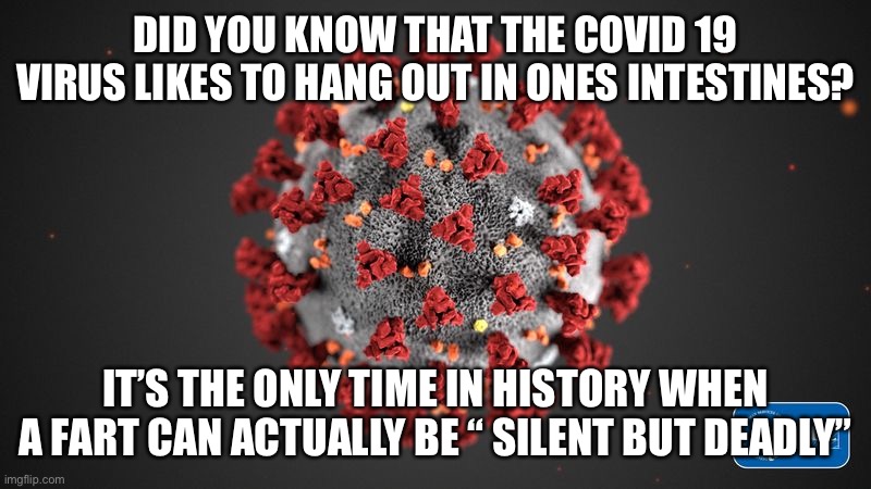 Covid farts | DID YOU KNOW THAT THE COVID 19 VIRUS LIKES TO HANG OUT IN ONES INTESTINES? IT’S THE ONLY TIME IN HISTORY WHEN A FART CAN ACTUALLY BE “ SILENT BUT DEADLY” | image tagged in covid 19 | made w/ Imgflip meme maker