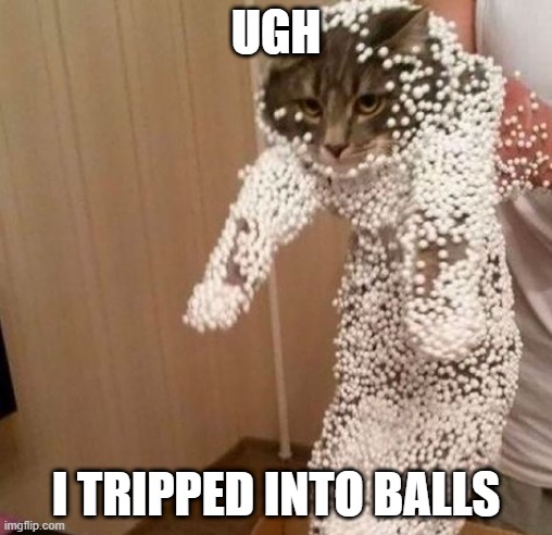 Whoops | UGH; I TRIPPED INTO BALLS | image tagged in funny cats | made w/ Imgflip meme maker