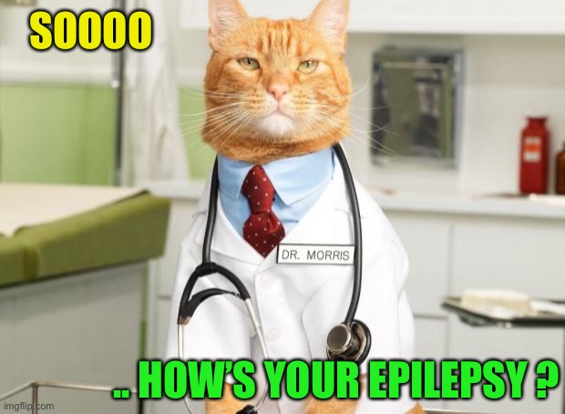 Cat Doctor | SOOOO .. HOW’S YOUR EPILEPSY ? | image tagged in cat doctor | made w/ Imgflip meme maker