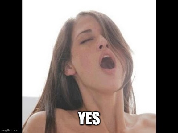 moaning woman | YES | image tagged in moaning woman | made w/ Imgflip meme maker