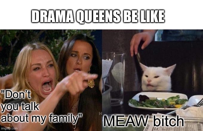 Drama Queens be like | DRAMA QUEENS BE LIKE; "Don’t you talk about my family"; MEAW bitch | image tagged in memes,woman yelling at cat | made w/ Imgflip meme maker