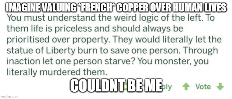 french ppl | IMAGINE VALUING *FRENCH* COPPER OVER HUMAN LIVES; COULDNT BE ME | image tagged in statue of liberty,human life being intrinsically valuable,right wing,left wing,curious | made w/ Imgflip meme maker