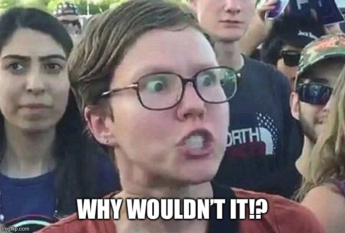 Triggered Liberal | WHY WOULDN’T IT!? | image tagged in triggered liberal | made w/ Imgflip meme maker