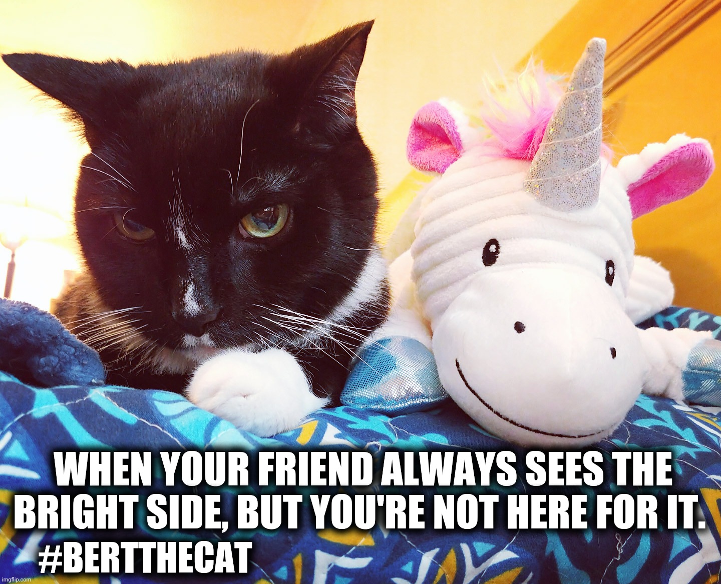 Not here for it |  WHEN YOUR FRIEND ALWAYS SEES THE BRIGHT SIDE, BUT YOU'RE NOT HERE FOR IT. #BERTTHECAT | image tagged in bert the cat,not here for it,funny cats,grumpy,unicorn,mood | made w/ Imgflip meme maker
