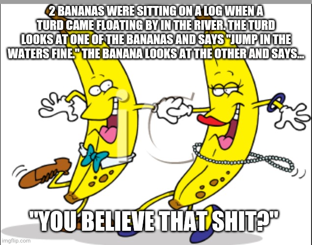 Two crazy bananas | 2 BANANAS WERE SITTING ON A LOG WHEN A TURD CAME FLOATING BY IN THE RIVER. THE TURD LOOKS AT ONE OF THE BANANAS AND SAYS "JUMP IN THE WATERS FINE." THE BANANA LOOKS AT THE OTHER AND SAYS... "YOU BELIEVE THAT SHIT?" | image tagged in funny memes | made w/ Imgflip meme maker