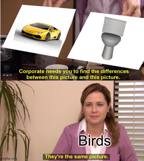 They da same thing | Birds | image tagged in memes,they're the same picture | made w/ Imgflip meme maker