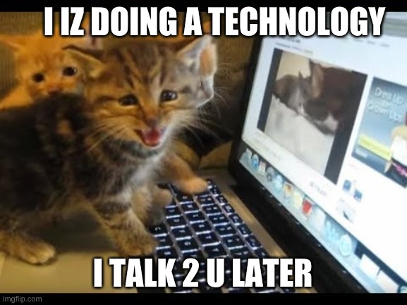 i iz do a internet | I IZ DOING A TECHNOLOGY; I TALK 2 U LATER | image tagged in kittens | made w/ Imgflip meme maker
