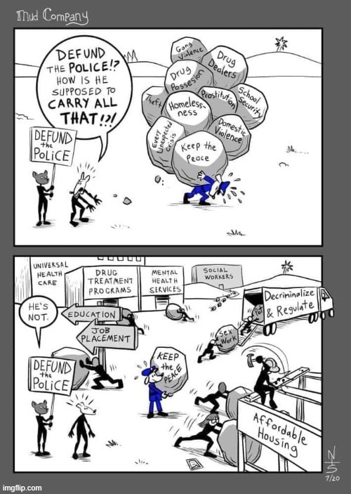 Confused about “defund the police?” This is what it looks like. (Repost) | image tagged in police,repost,reposts,police brutality,cartoons,comics/cartoons | made w/ Imgflip meme maker