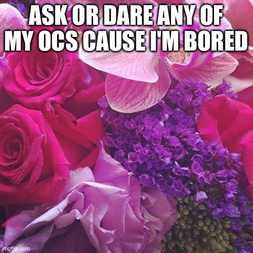 Say what oc/OCs you want to ask/dare and they will answer the question/do the dare | ASK OR DARE ANY OF MY OCS CAUSE I'M BORED | image tagged in flowers | made w/ Imgflip meme maker