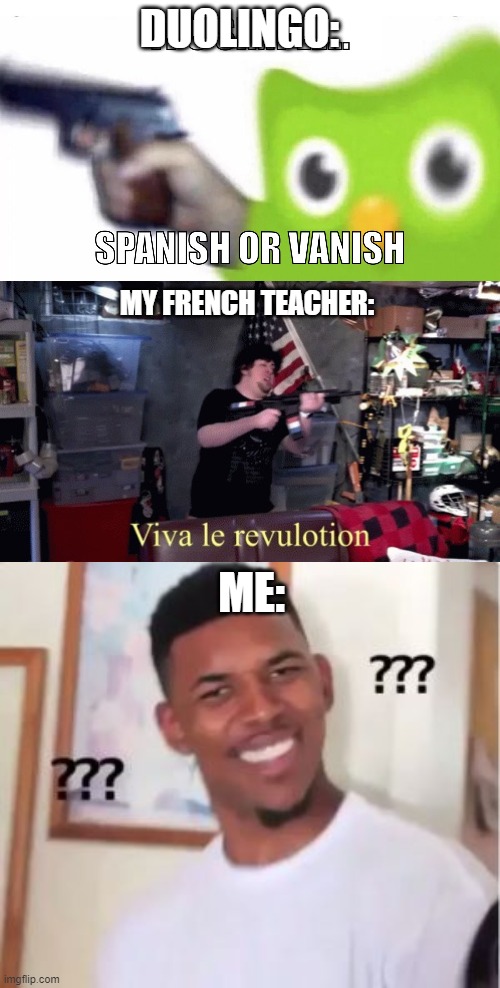 She tells us to use it everyday to improve our French skills... | DUOLINGO:; MY FRENCH TEACHER:; ME: | image tagged in nick young,jontron vive la revulotion | made w/ Imgflip meme maker