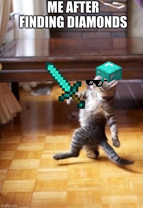 Cool Cat Stroll | ME AFTER FINDING DIAMONDS | image tagged in memes,cool cat stroll | made w/ Imgflip meme maker