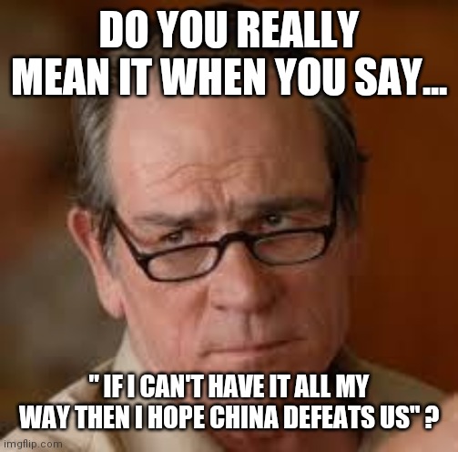 That's why the Presidency has a minimum age limit | DO YOU REALLY MEAN IT WHEN YOU SAY... " IF I CAN'T HAVE IT ALL MY WAY THEN I HOPE CHINA DEFEATS US" ? | image tagged in my face when someone asks a stupid question | made w/ Imgflip meme maker