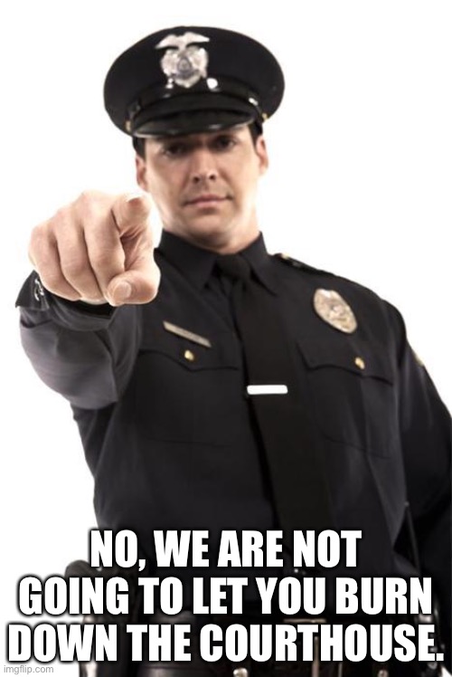 Police | NO, WE ARE NOT GOING TO LET YOU BURN DOWN THE COURTHOUSE. | image tagged in police | made w/ Imgflip meme maker