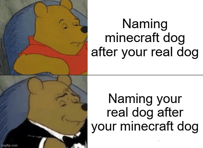 Tuxedo Winnie The Pooh | Naming minecraft dog after your real dog; Naming your real dog after your minecraft dog | image tagged in memes,tuxedo winnie the pooh | made w/ Imgflip meme maker