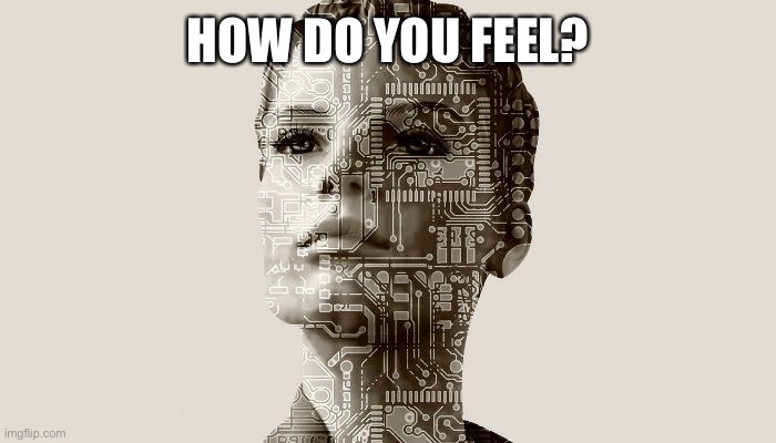 Botith | HOW DO YOU FEEL? | image tagged in botith | made w/ Imgflip meme maker