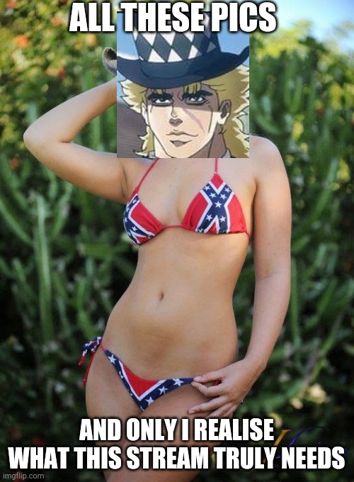Speedwagon in a bikini | ALL THESE PICS; AND ONLY I REALISE WHAT THIS STREAM TRULY NEEDS | image tagged in speedwagon,bikini,ecchi,jojo's bizarre adventure,blessed,stop reading the tags | made w/ Imgflip meme maker