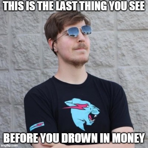 Mr. Beast | THIS IS THE LAST THING YOU SEE; BEFORE YOU DROWN IN MONEY | image tagged in money,mr beast,death | made w/ Imgflip meme maker