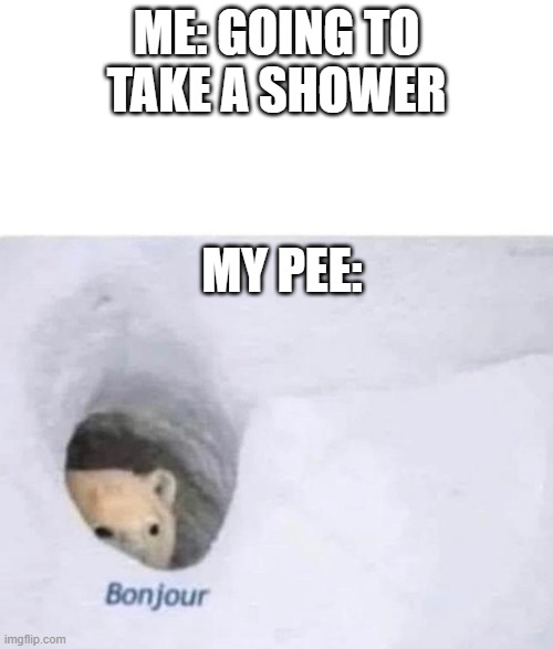 Bonjour | ME: GOING TO TAKE A SHOWER; MY PEE: | image tagged in bonjour | made w/ Imgflip meme maker
