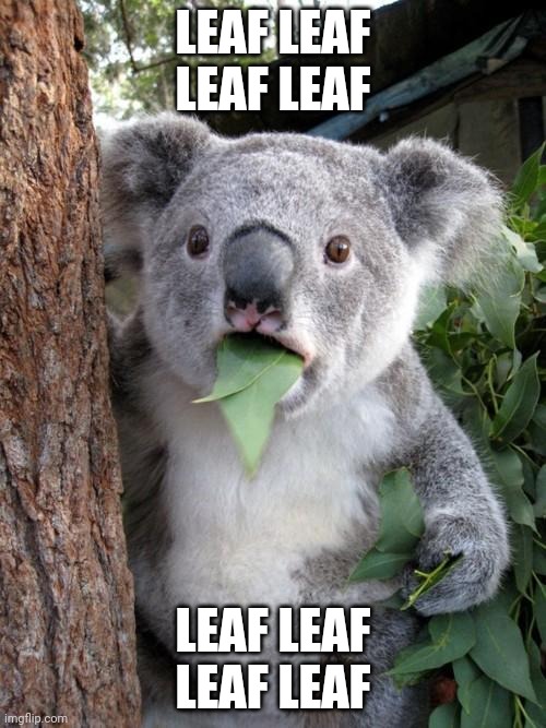 Surprised Koala | LEAF LEAF LEAF LEAF; LEAF LEAF LEAF LEAF | image tagged in memes,surprised koala | made w/ Imgflip meme maker