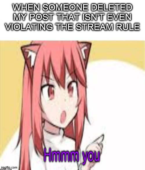 seriously wtf? | WHEN SOMEONE DELETED MY POST THAT ISN'T EVEN VIOLATING THE STREAM RULE | image tagged in anime,rant | made w/ Imgflip meme maker