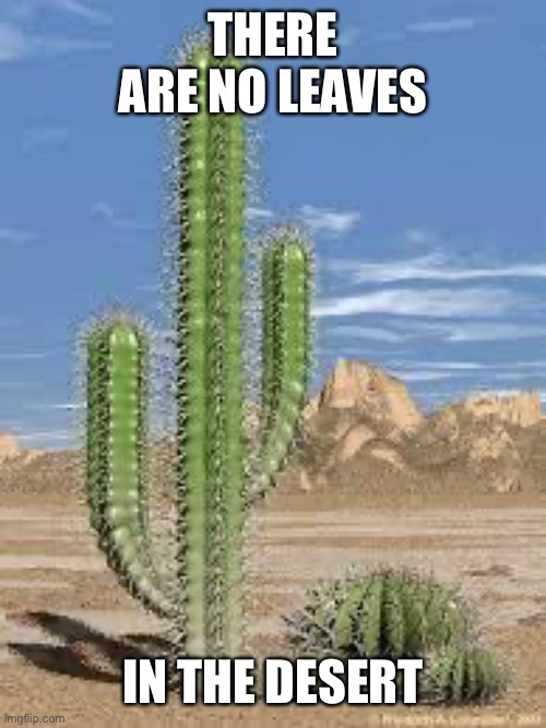 cactus | THERE ARE NO LEAVES IN THE DESERT | image tagged in cactus | made w/ Imgflip meme maker