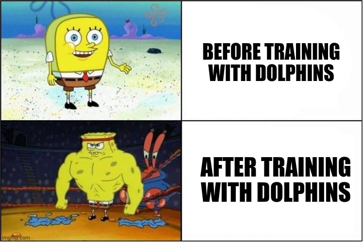 Weak vs Strong Spongebob | BEFORE TRAINING WITH DOLPHINS AFTER TRAINING WITH DOLPHINS | image tagged in weak vs strong spongebob | made w/ Imgflip meme maker