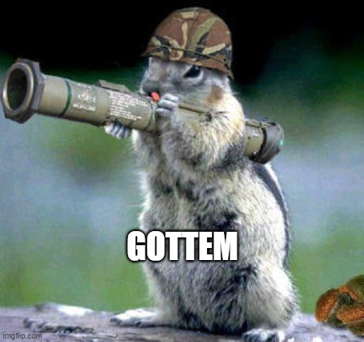 Gottem Squirrel | GOTTEM | image tagged in memes,bazooka squirrel | made w/ Imgflip meme maker