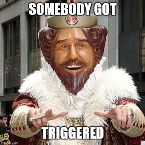 burger king | SOMEBODY GOT TRIGGERED | image tagged in burger king | made w/ Imgflip meme maker