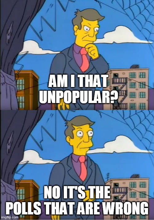 Skinner Out Of Touch | AM I THAT UNPOPULAR? NO IT'S THE POLLS THAT ARE WRONG | image tagged in skinner out of touch | made w/ Imgflip meme maker