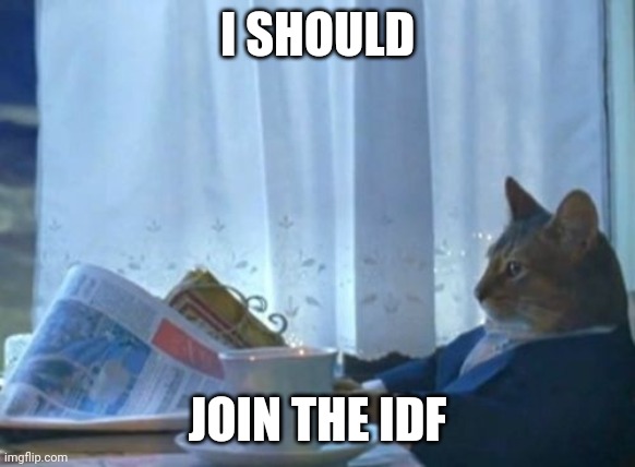 I Should Buy A Boat Cat Meme | I SHOULD; JOIN THE IDF | image tagged in memes,i should buy a boat cat | made w/ Imgflip meme maker