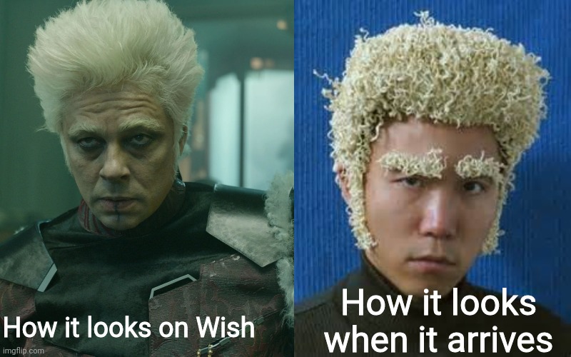 How it looks when it arrives; How it looks on Wish | image tagged in ramen noodle,taneleer tivan,the collector,mcu,marvel cinematic universe,marvel guardians of the galaxy | made w/ Imgflip meme maker