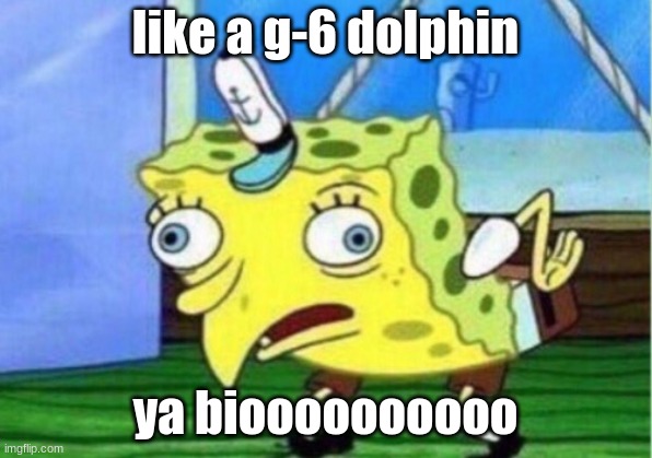 that ain't a dolphin chiffff | like a g-6 dolphin; ya bioooooooooo | image tagged in memes,mocking spongebob | made w/ Imgflip meme maker