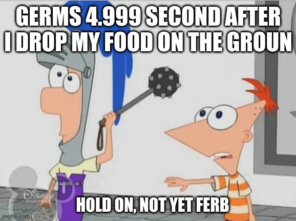 Hold on, not yet Ferb. | GERMS 4.999 SECOND AFTER I DROP MY FOOD ON THE GROUN; HOLD ON, NOT YET FERB | image tagged in not yet ferb,memes,funny | made w/ Imgflip meme maker