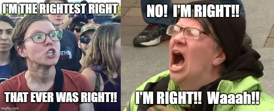 The Rightest Right Argument in IMGFLIP Land - Democrats and Republicans and Independents, Oh My! | NO!  I'M RIGHT!! I'M THE RIGHTEST RIGHT; THAT EVER WAS RIGHT!! I'M RIGHT!!  Waaah!! | image tagged in imgflip,republican,democrat,protestors,i'm right | made w/ Imgflip meme maker